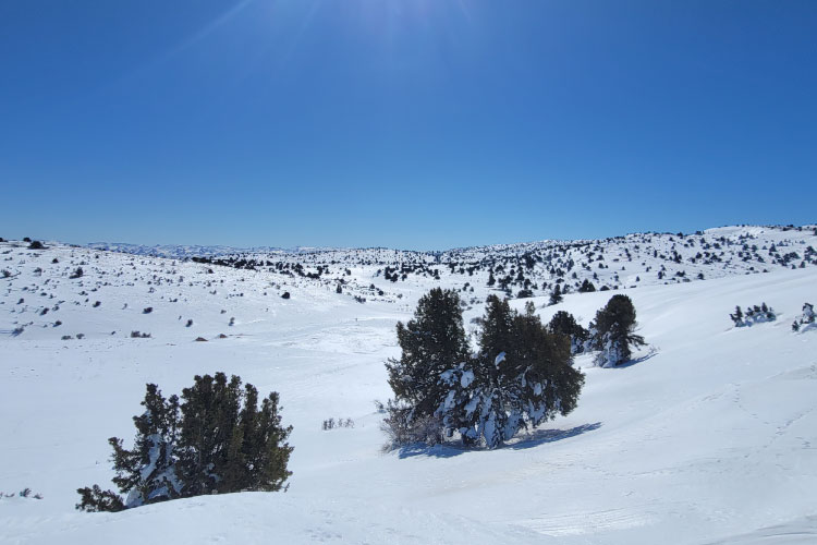 Hermel To Ouyoune Orgosh