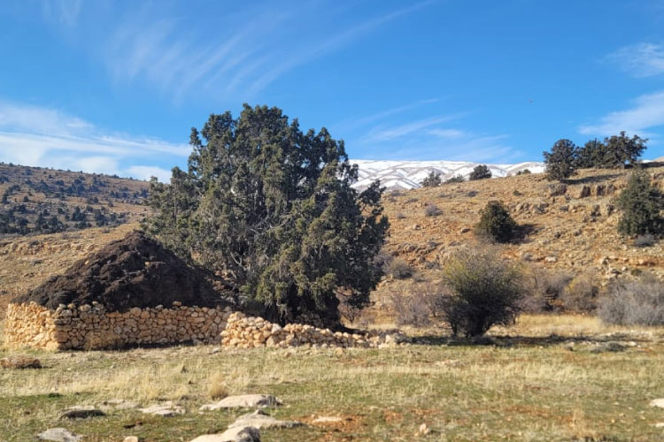 Hermel To Ouyoune Orgosh