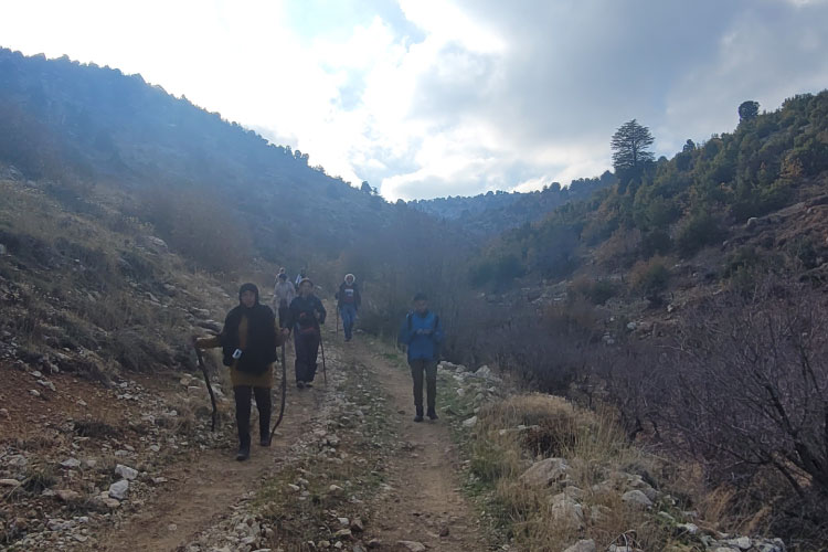 Marjhine To Brissa