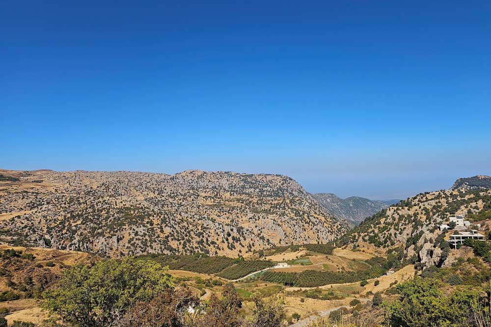 Al Elleh Forest