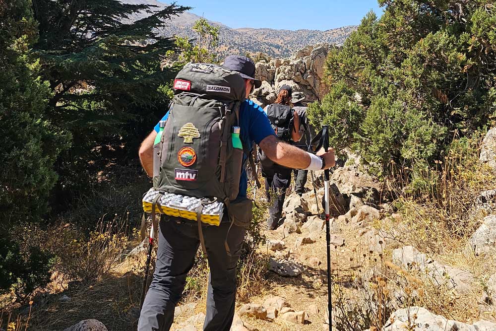 Al Elleh Forest